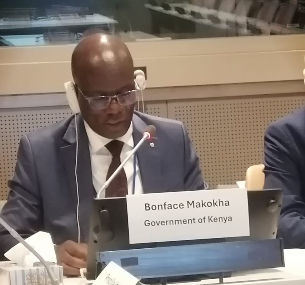 PS State Department for Economic Affairs Dr. Bonface Makhoha delivering his opening remarks during the side event in New York.